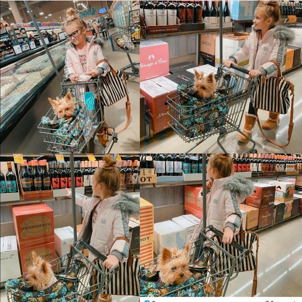 Barbie and Me. Barbie really like to shop with her friend.